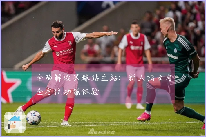 全面解读买球站主站：新人指南与全方位功能体验