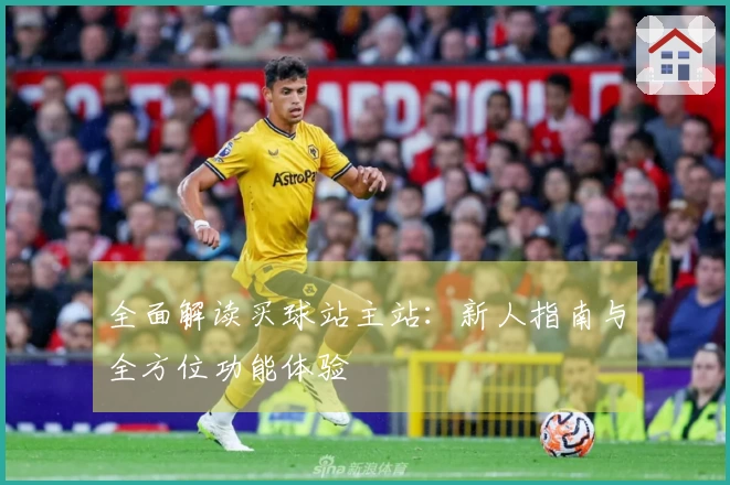 全面解读买球站主站：新人指南与全方位功能体验
