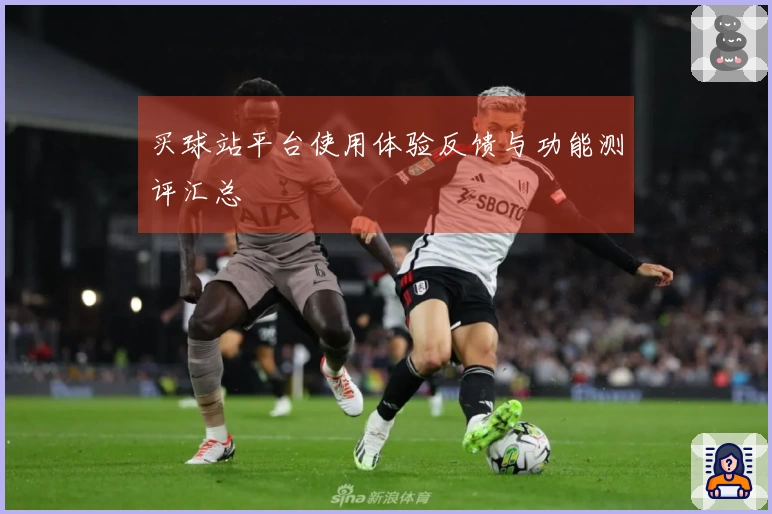 买球站平台使用体验反馈与功能测评汇总