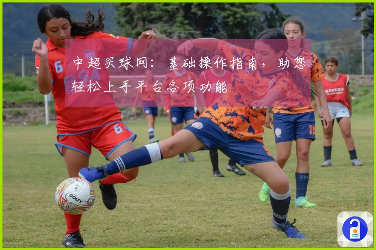 中超买球网：基础操作指南，助您轻松上手平台各项功能